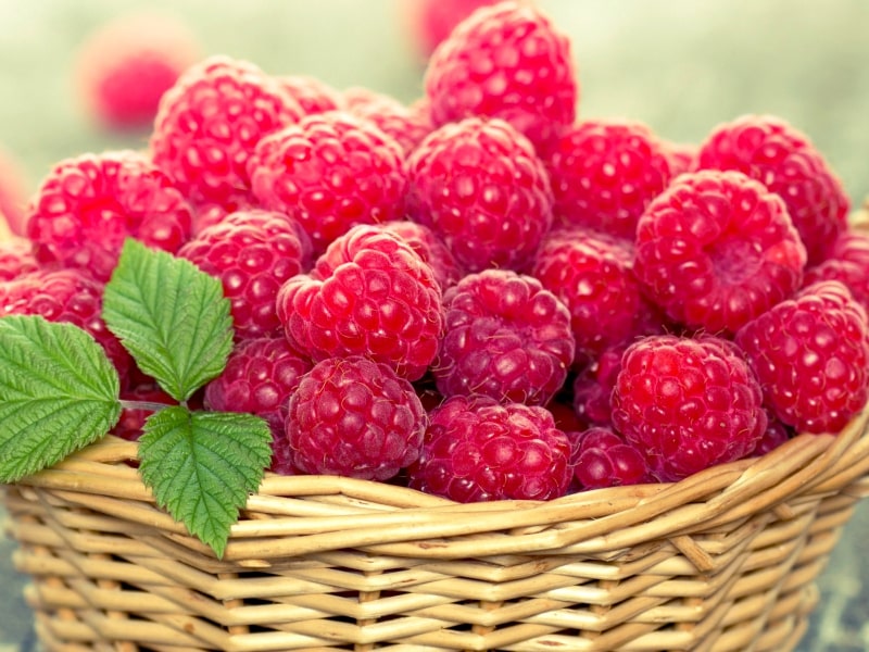 Raspberries